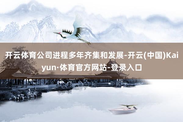 开云体育公司进程多年齐集和发展-开云(中国)Kaiyun·体育官方网站-登录入口