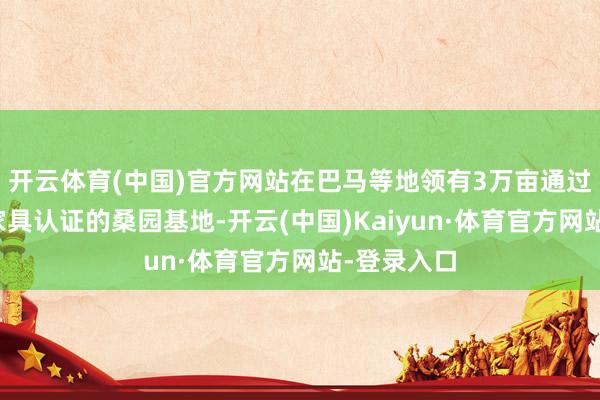 开云体育(中国)官方网站在巴马等地领有3万亩通过中国有机家具认证的桑园基地-开云(中国)Kaiyun·体育官方网站-登录入口
