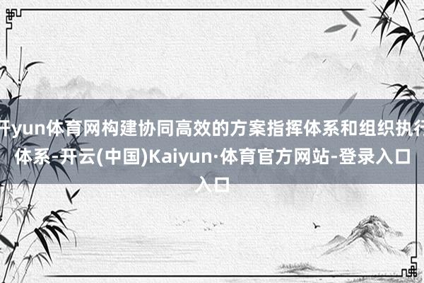 开yun体育网构建协同高效的方案指挥体系和组织执行体系-开云(中国)Kaiyun·体育官方网站-登录入口